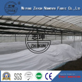 3.2m Width PP Nonwoven Fabric for Agriculture Cover